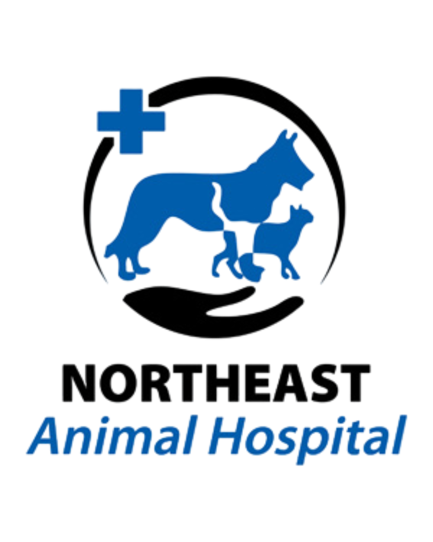 JPG-SM-NE Animal Hospital-final